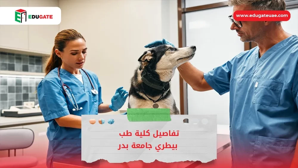 Blog Featured Image