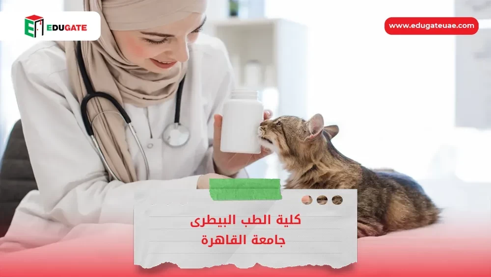 Blog Featured Image