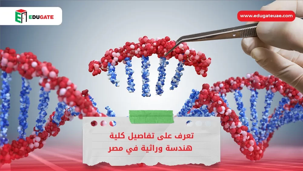 Blog Featured Image