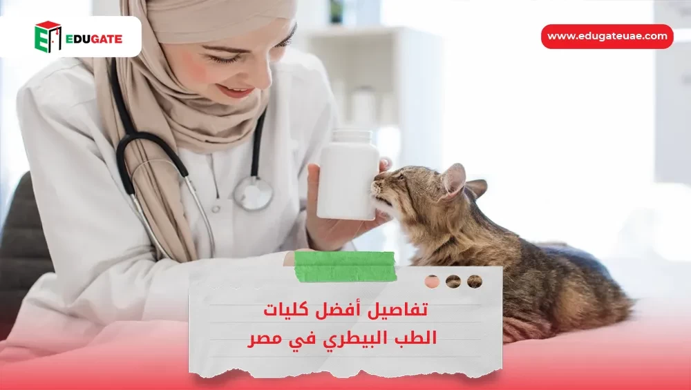 Blog Featured Image