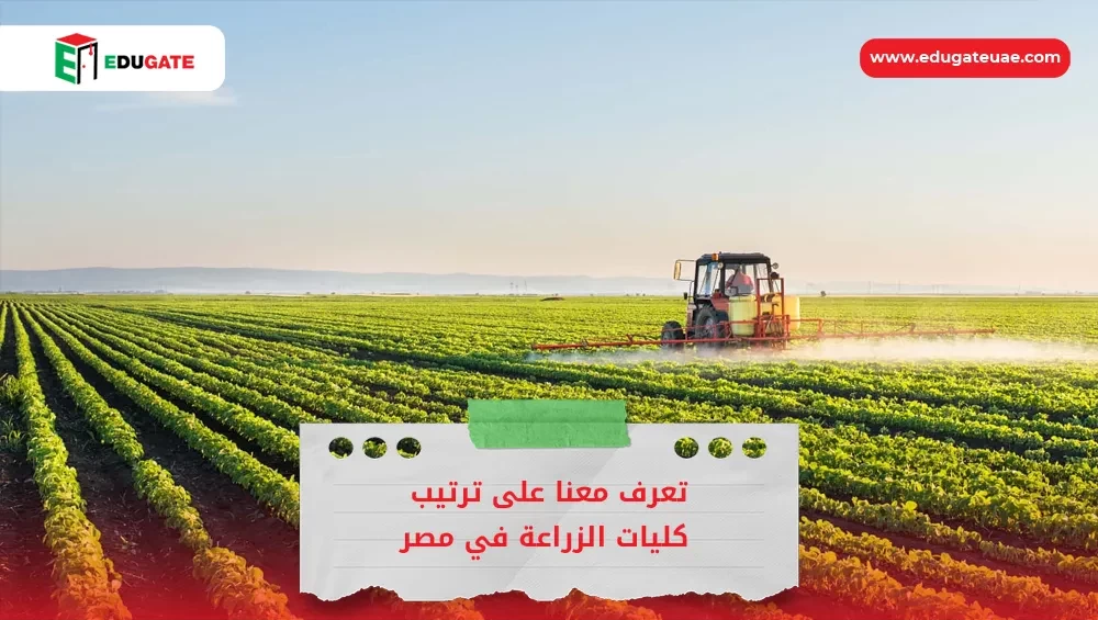 Blog Featured Image