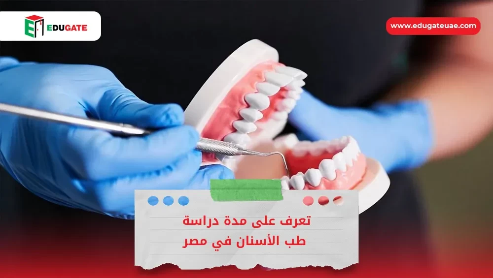 Blog Featured Image