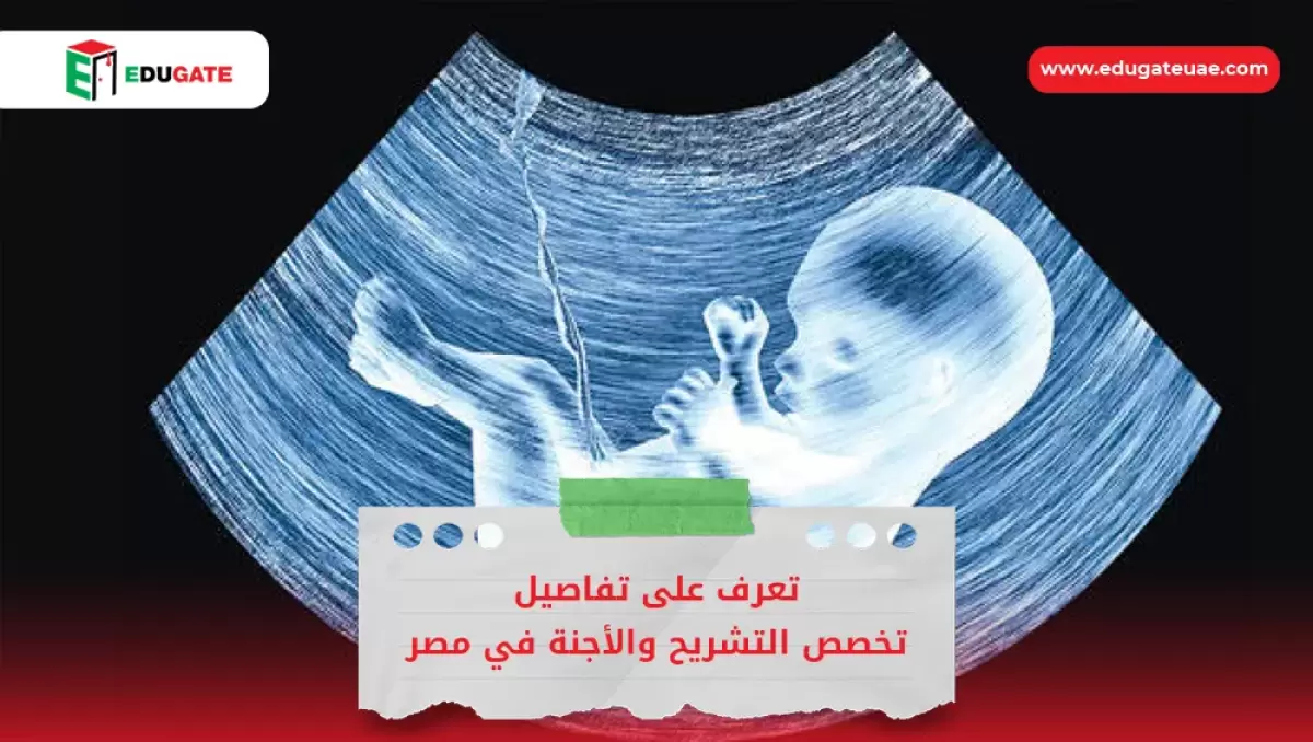Blog Featured Image