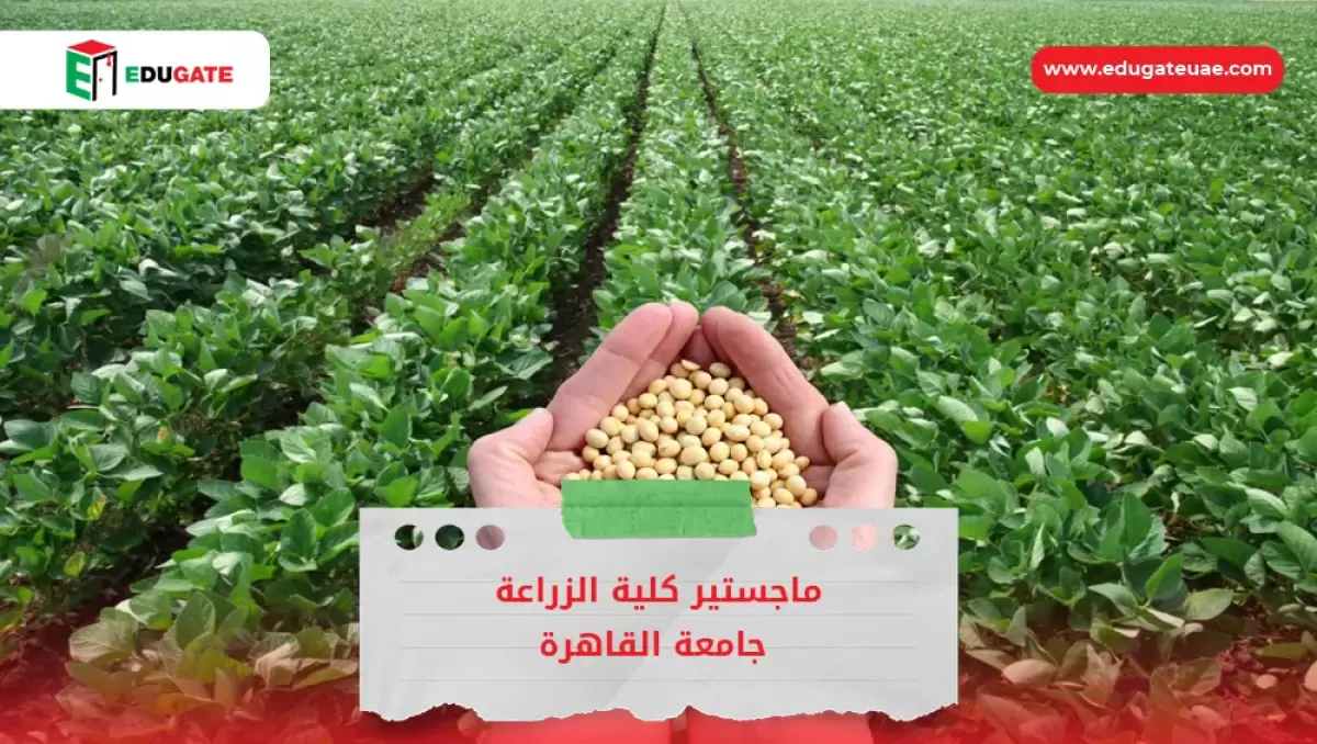 Blog Featured Image