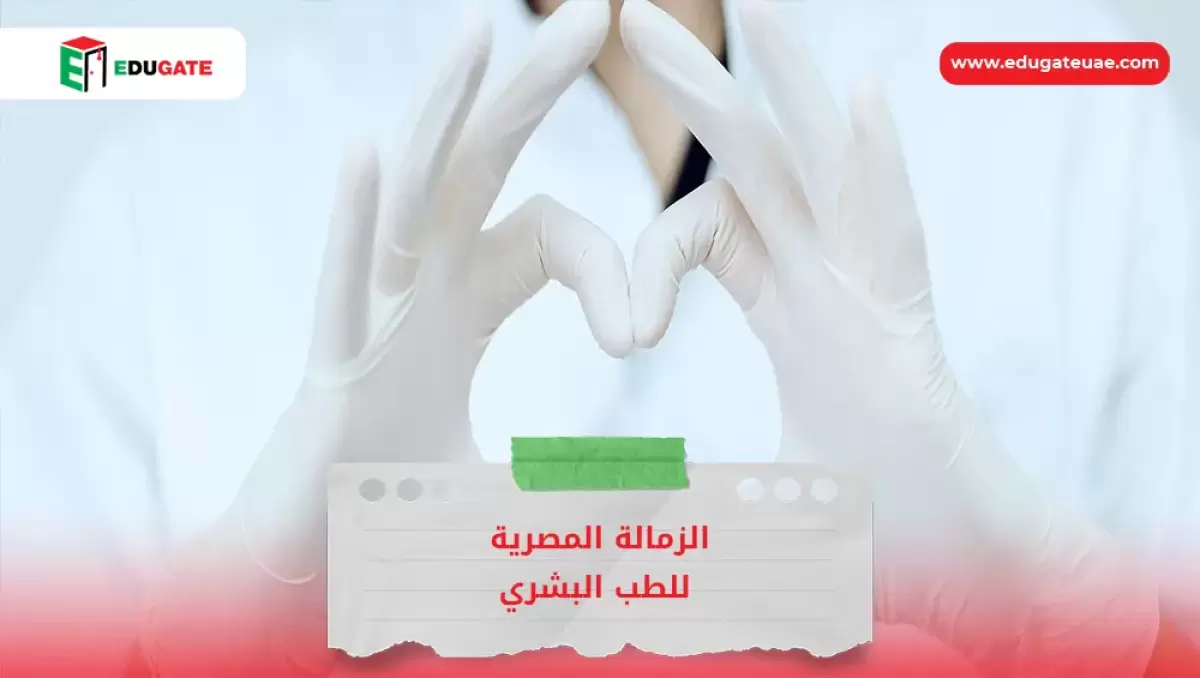 Blog Featured Image