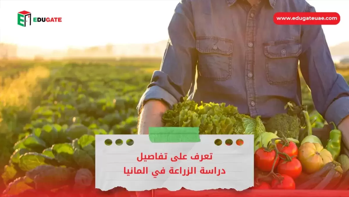 Blog Featured Image