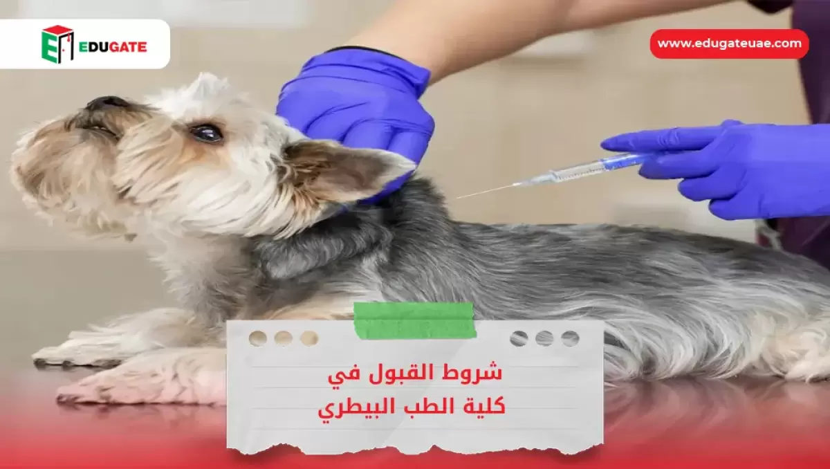 Blog Featured Image